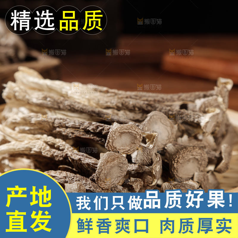 深色底上鹿茸菇
