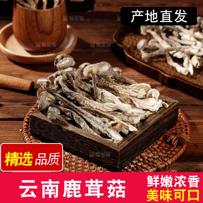 深色底上鹿茸菇