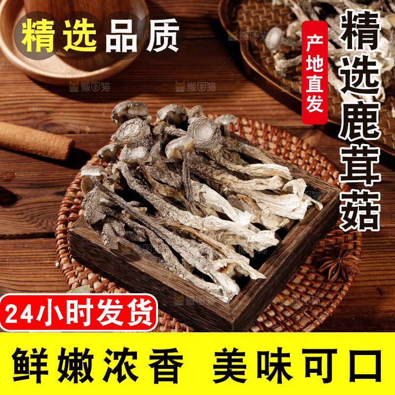 深色底上鹿茸菇