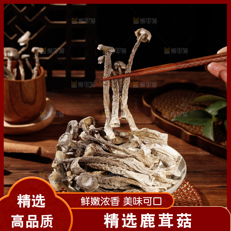深色底上鹿茸菇