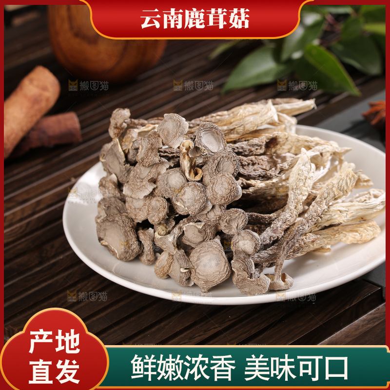 深底上鹿茸菇