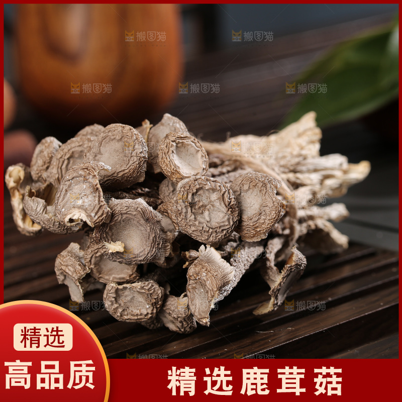 深底上鹿茸菇