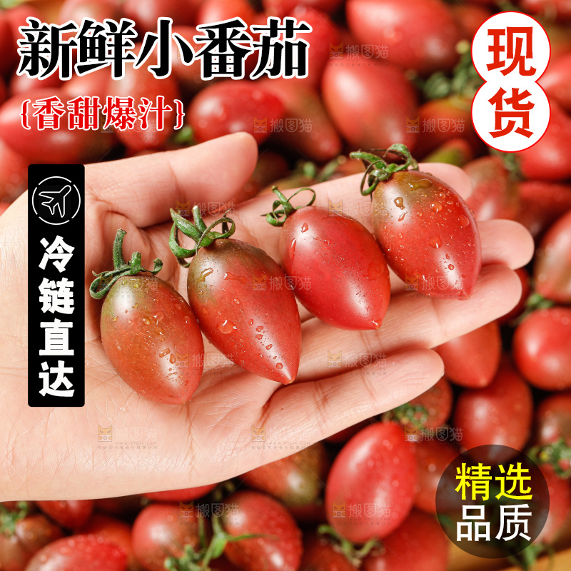 手里拿着混色小番茄