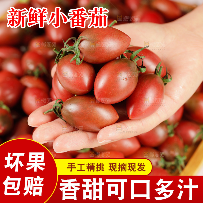 手里拿着混色小番茄