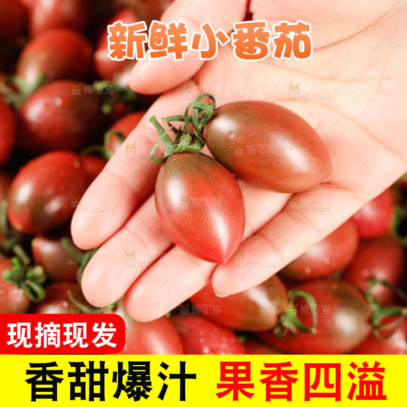 手里拿着混色小番茄
