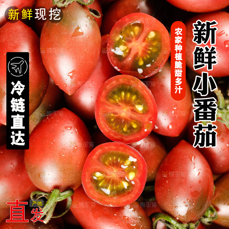 手里拿着混色小番茄