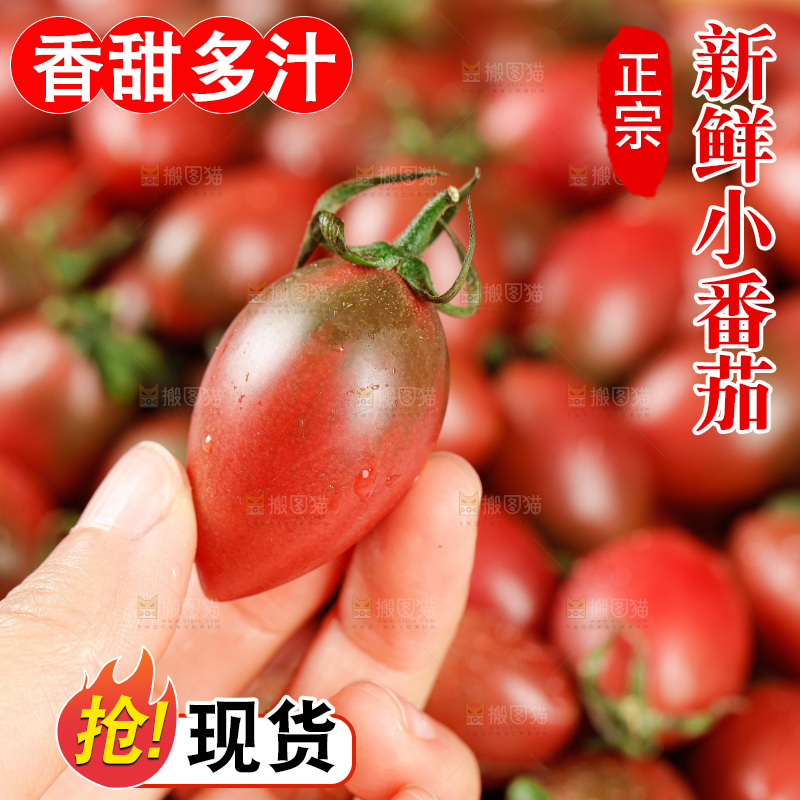 手里拿着混色小番茄