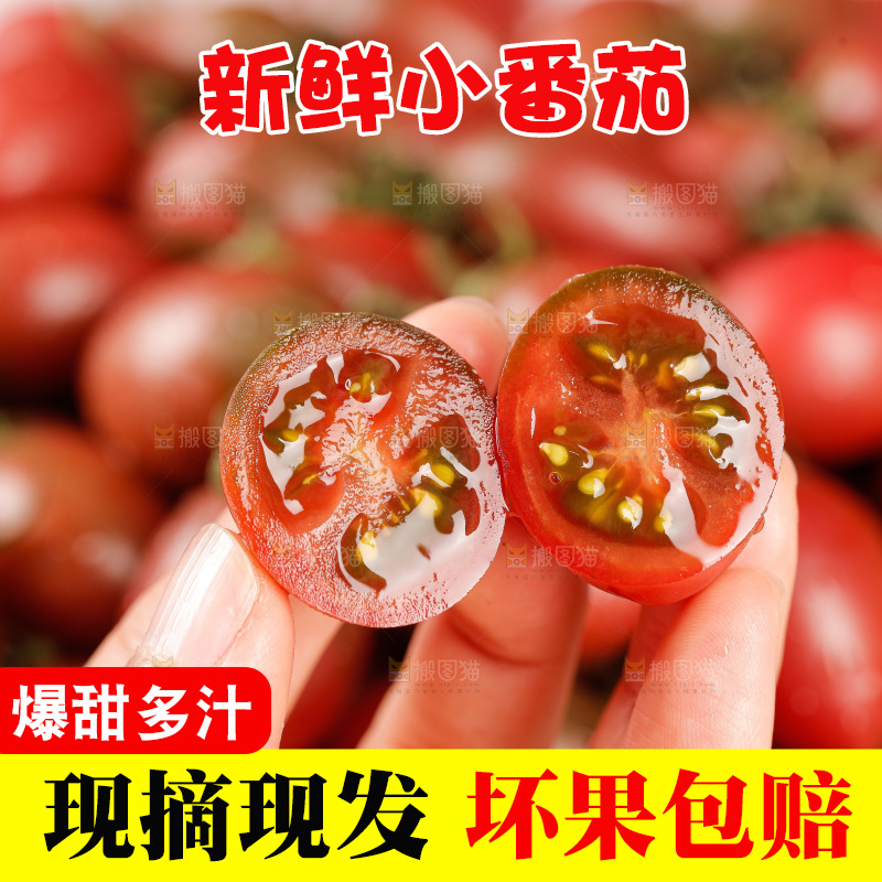 手里拿着混色小番茄