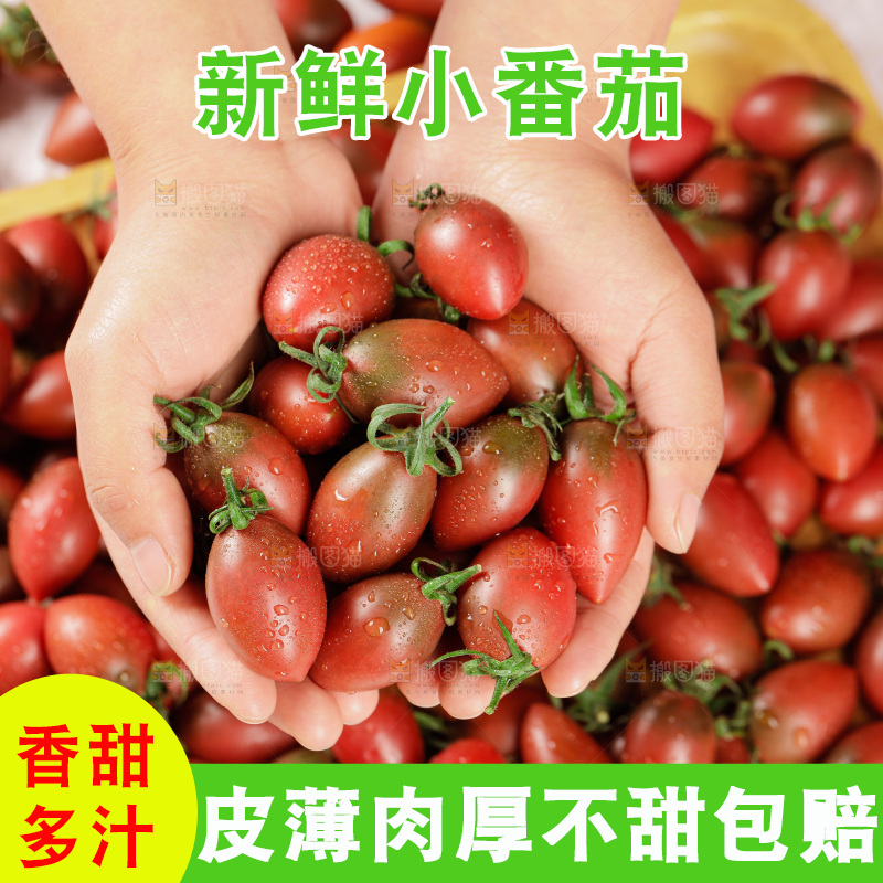 手里拿着混色小番茄
