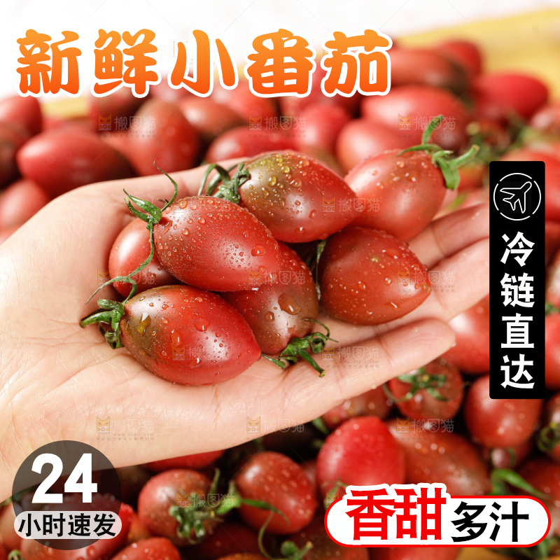 手里拿着混色小番茄