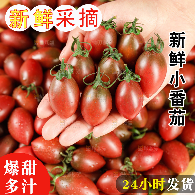 手里拿着混色小番茄