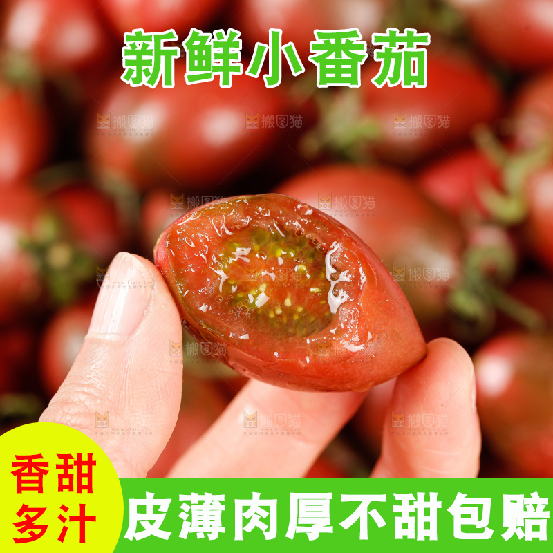 手里拿着混色小番茄