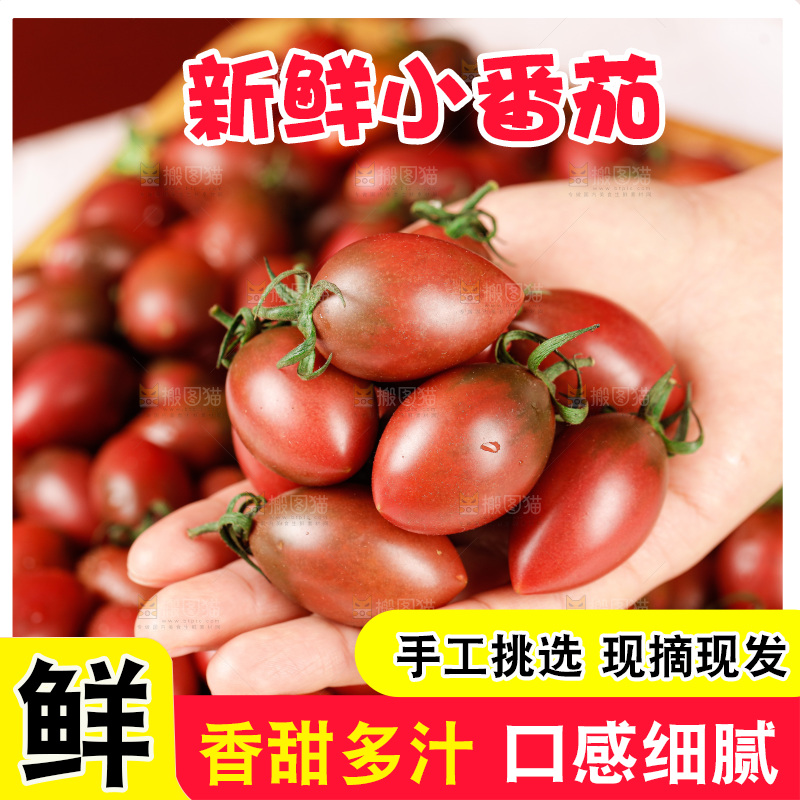 手里拿着混色小番茄