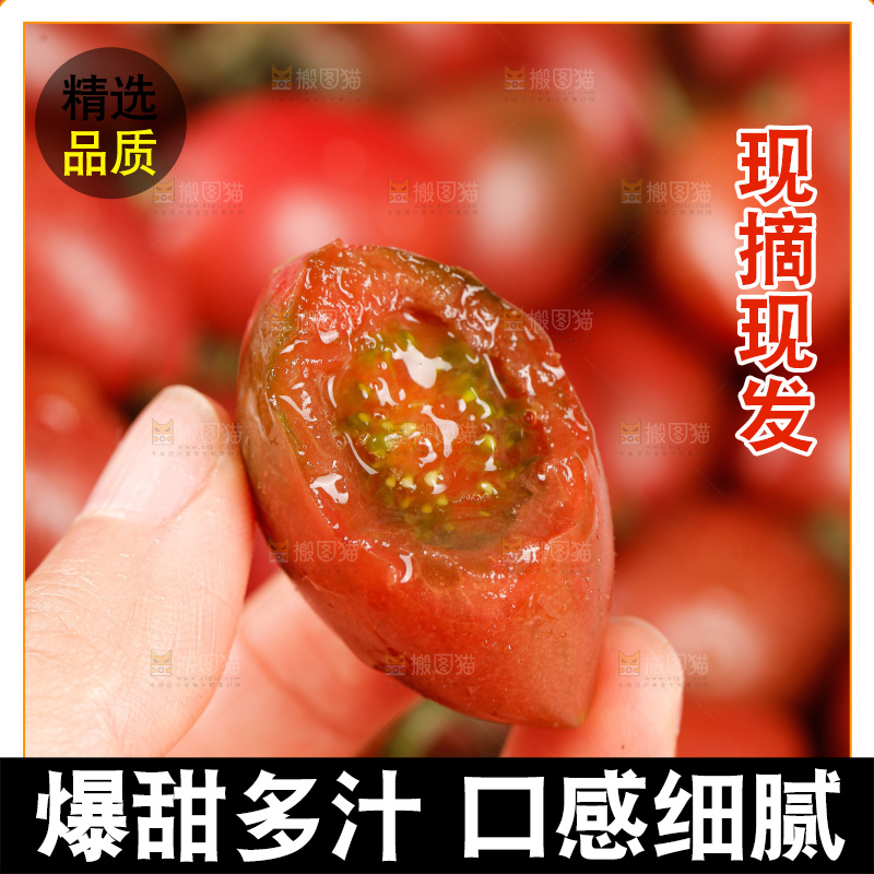 手里拿着混色小番茄