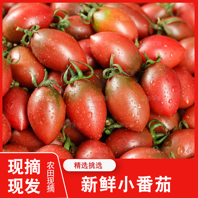 手里拿着混色小番茄