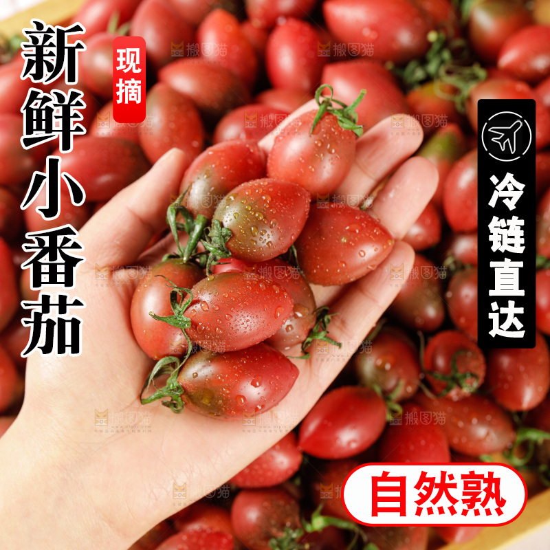 手里拿着混色小番茄
