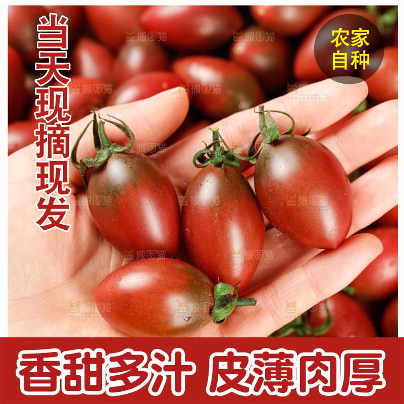 手里拿着混色小番茄