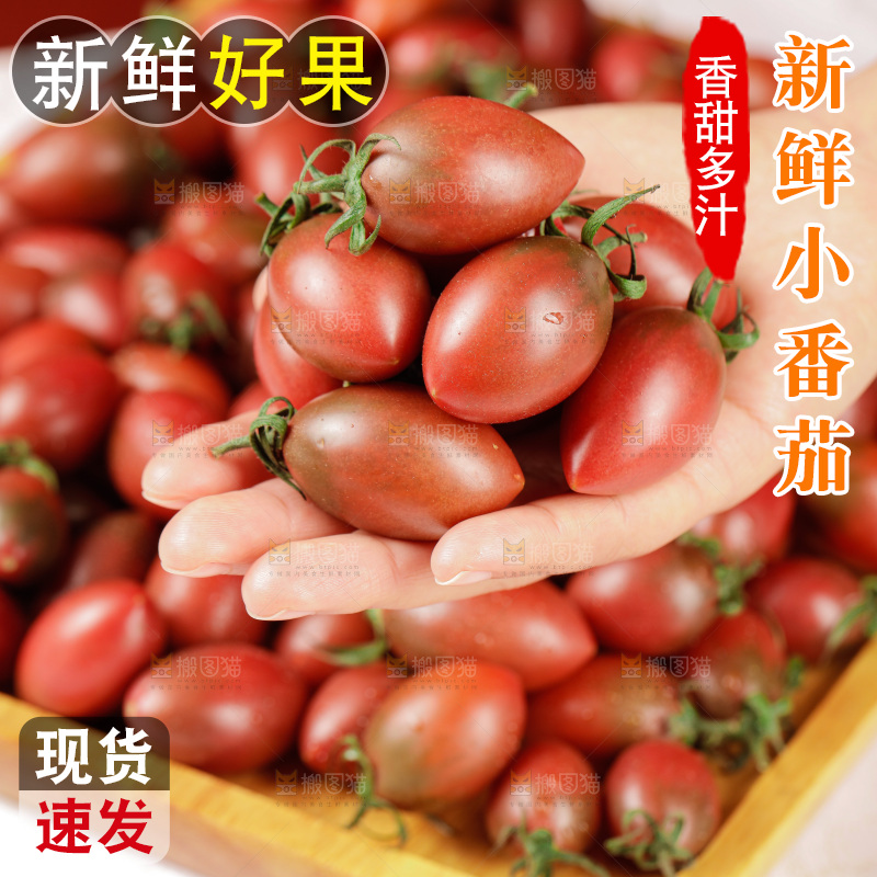手里拿着混色小番茄