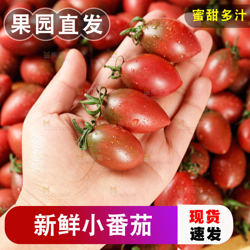 手里拿着混色小番茄