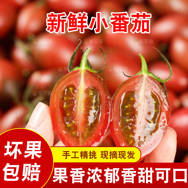 手里拿着混色小番茄