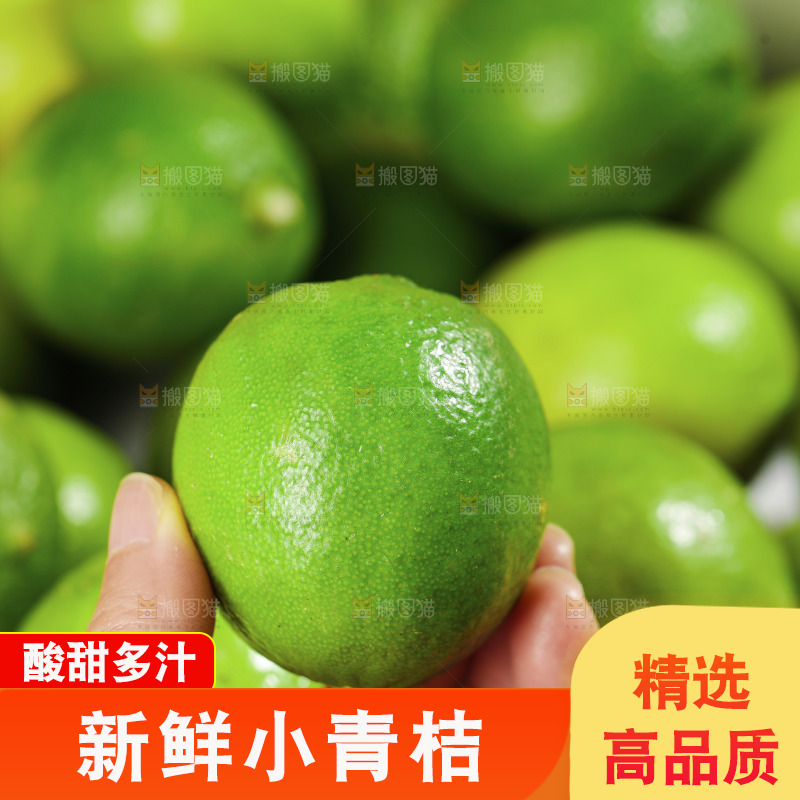 浅底上的小青桔