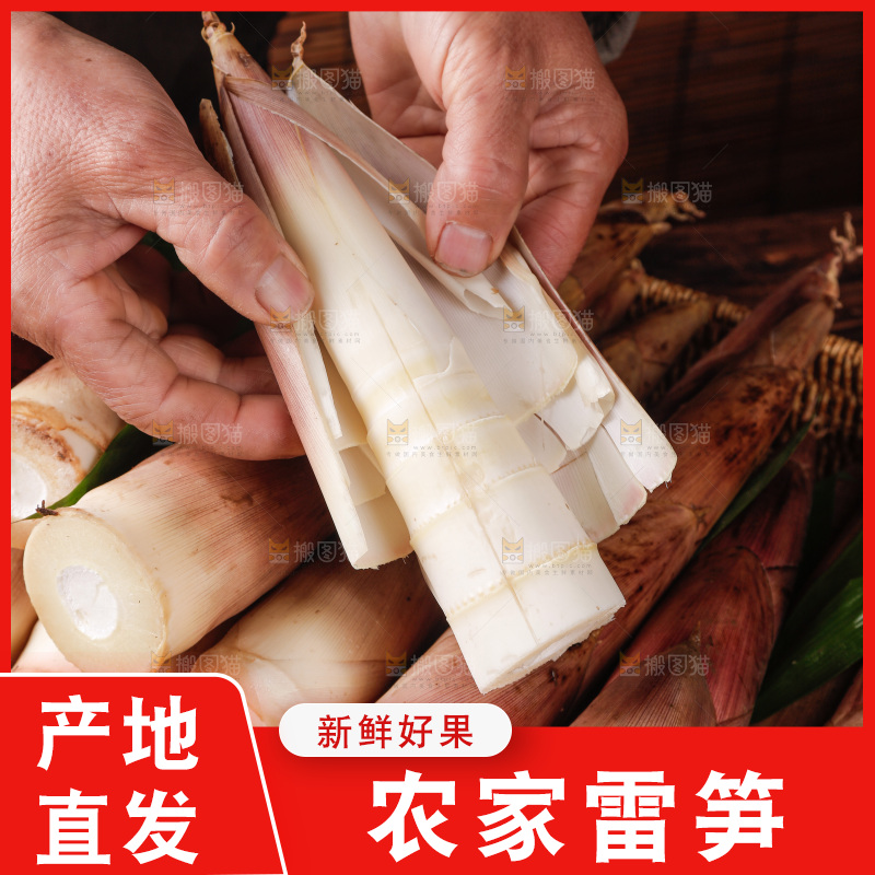 深底上的雷笋