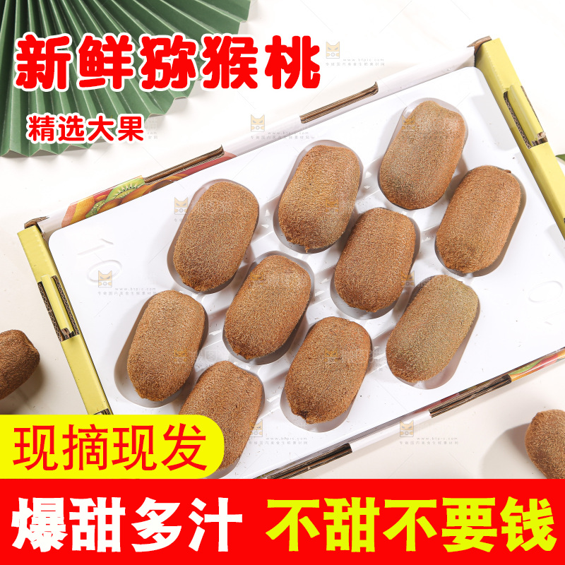 浅底上的猕猴桃