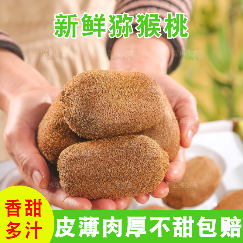 浅底上的猕猴桃