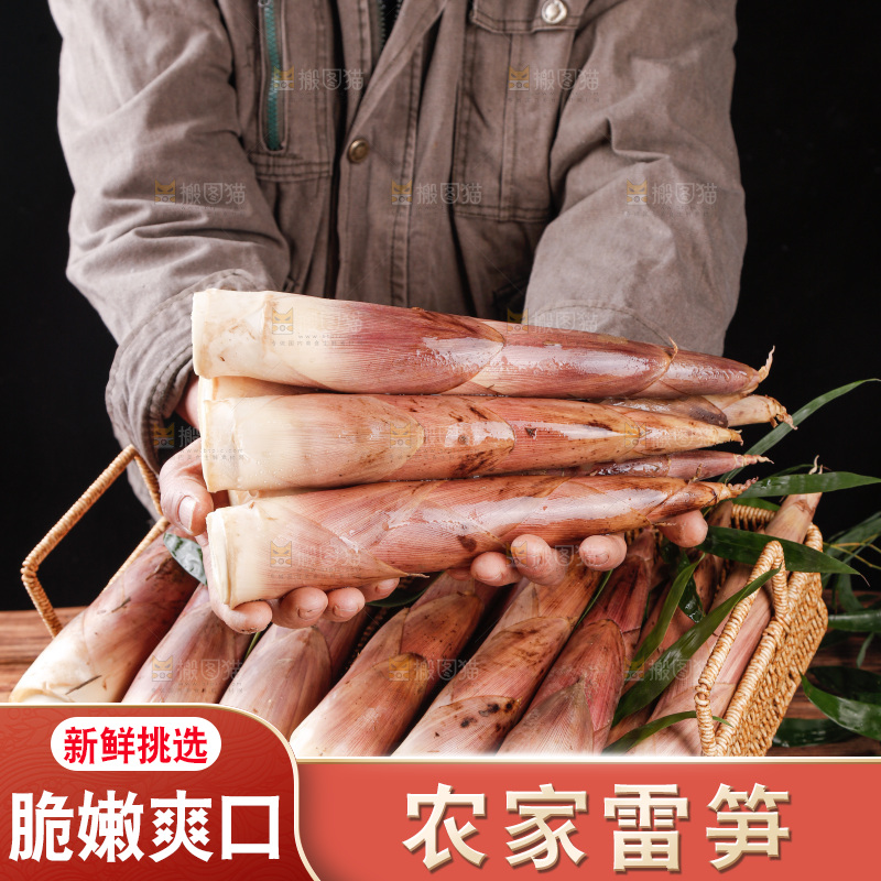 深底上的雷笋