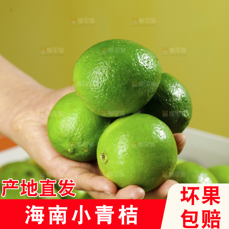 浅底上的小青桔