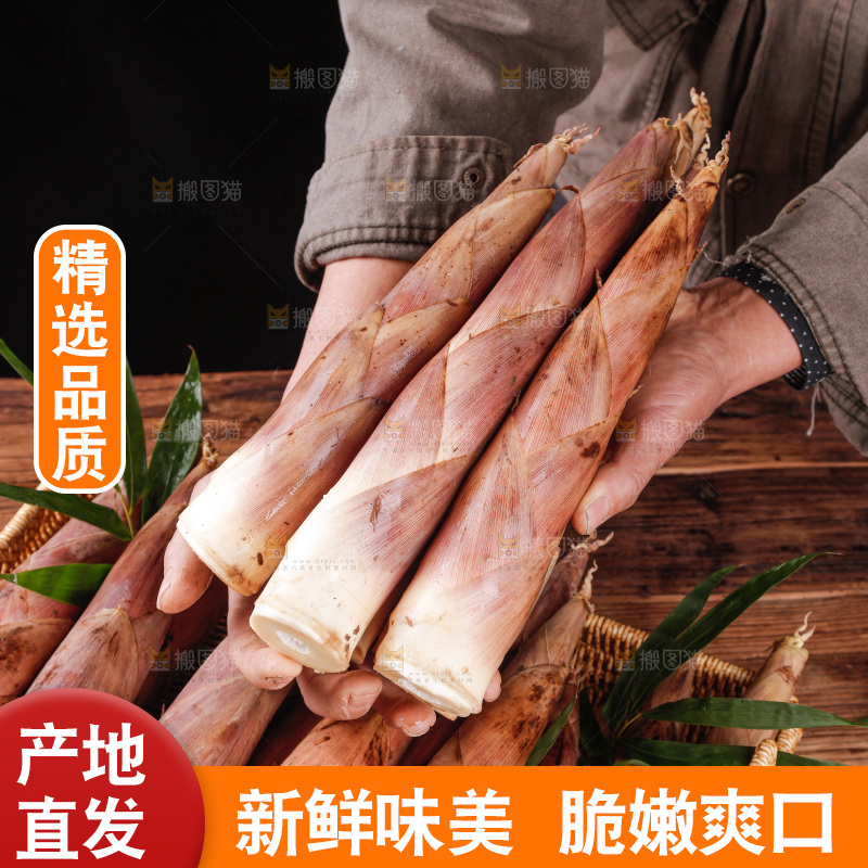 深底上的雷笋