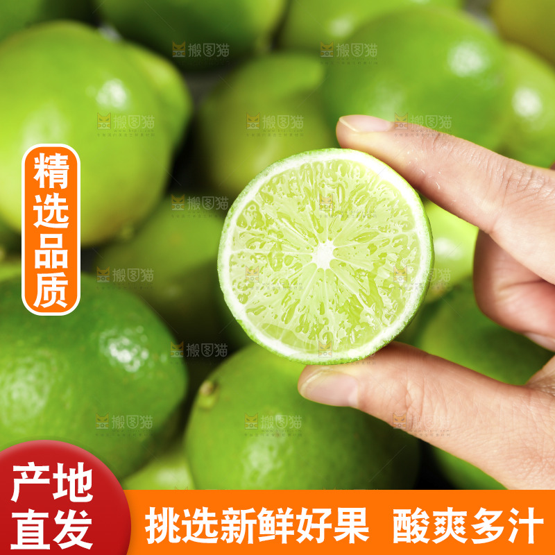 浅底上的小青桔
