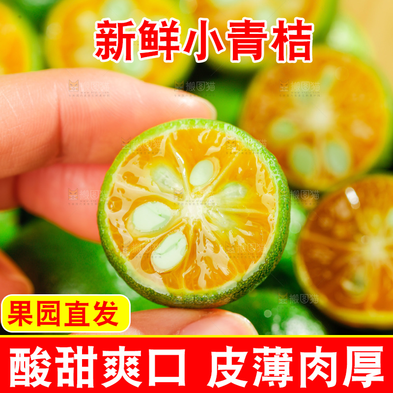 浅底上的小青桔
