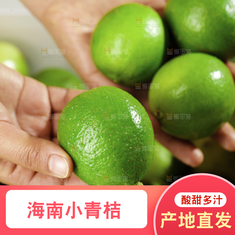 浅底上的小青桔