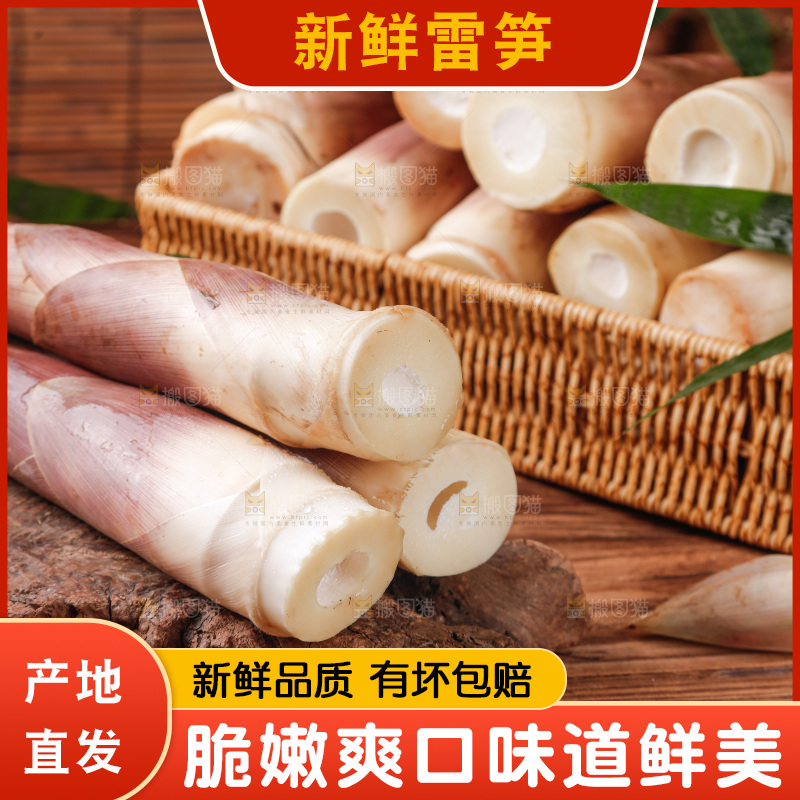 深底上的雷笋