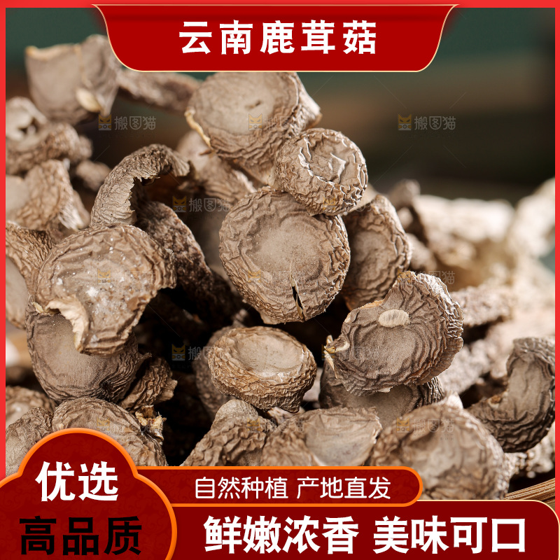 深底上的鹿茸菌