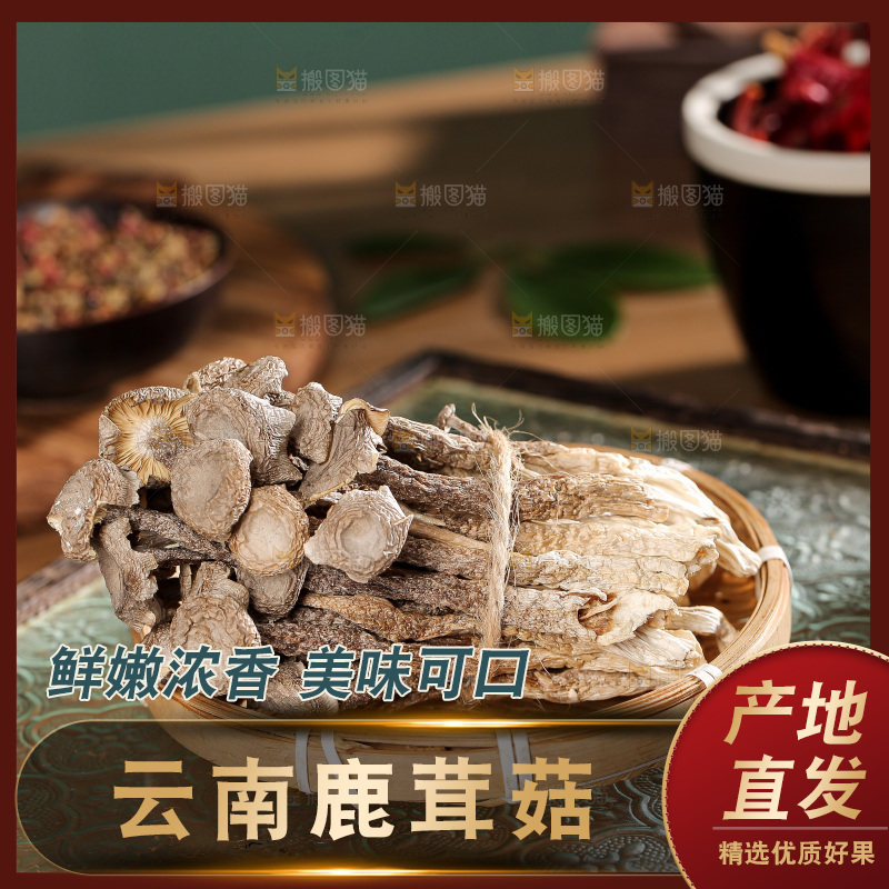 深底上的鹿茸菌