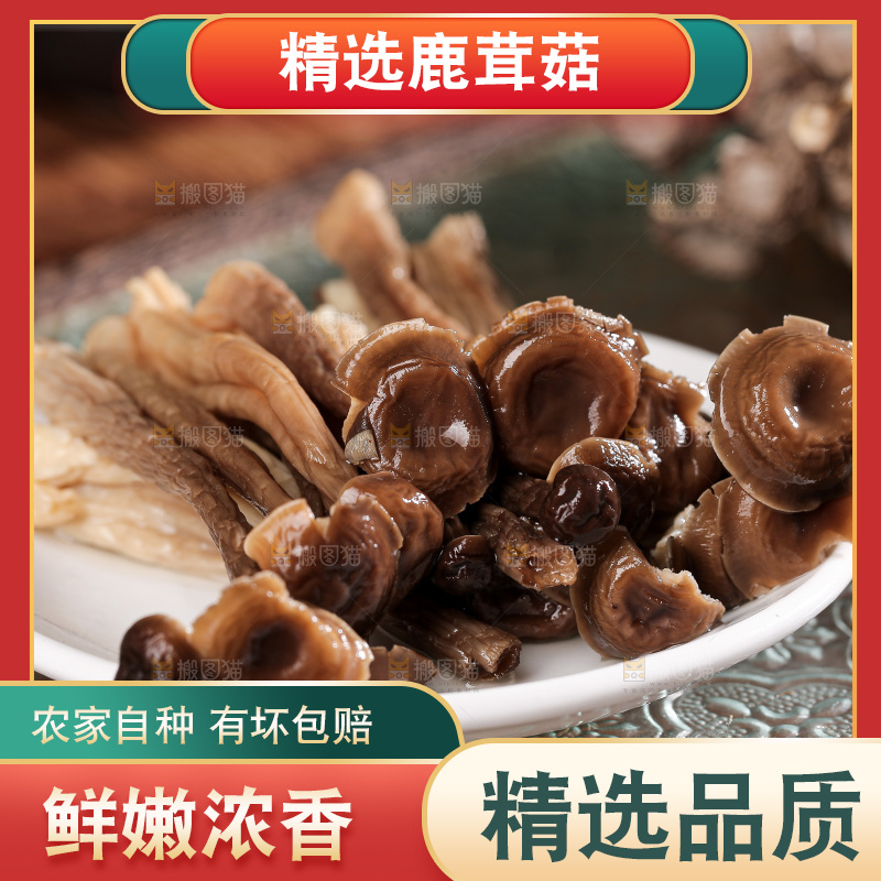 深底上的鹿茸菌