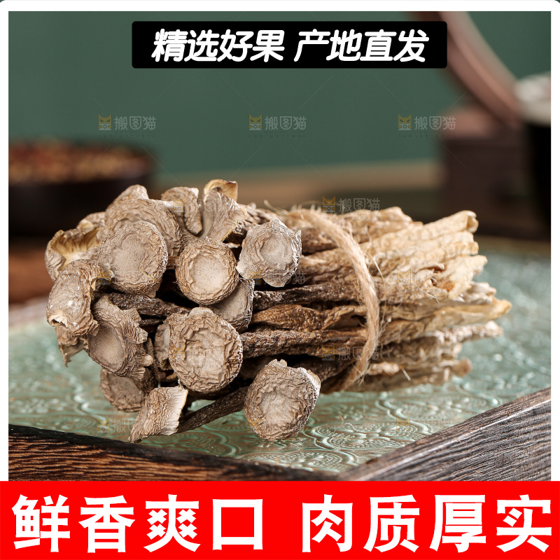 深底上的鹿茸菌