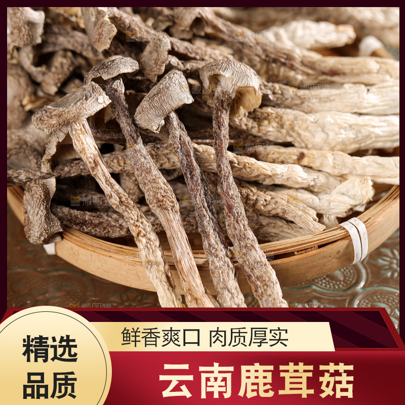 深底上的鹿茸菌