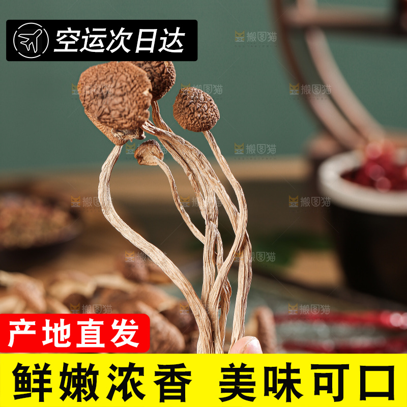 深底上的鹿茸菌