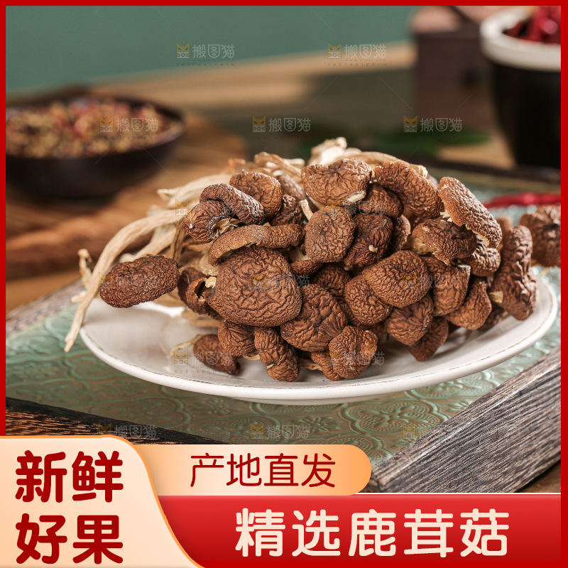 深底上的鹿茸菌