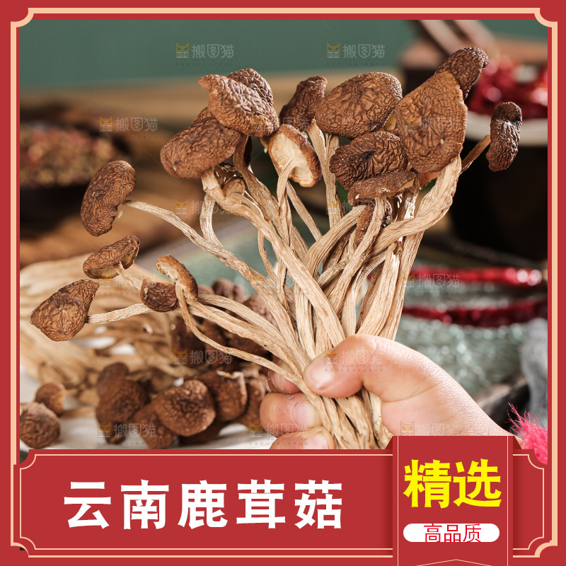 深底上的鹿茸菌