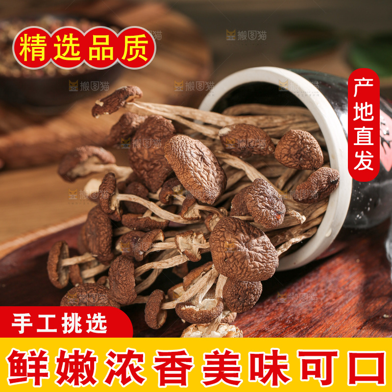 深底上的鹿茸菌
