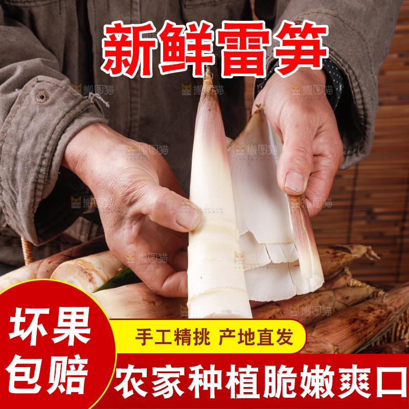 深底上的雷笋