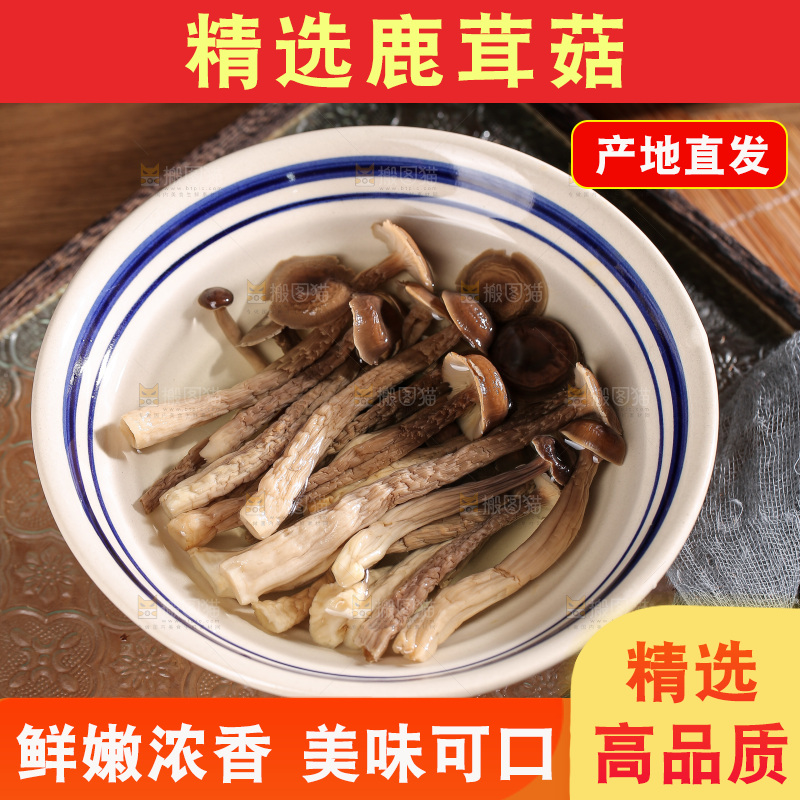 深底上的鹿茸菌
