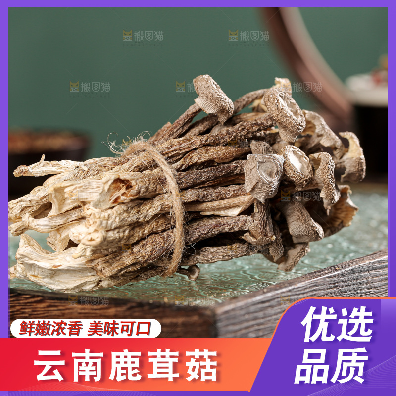 深底上的鹿茸菌