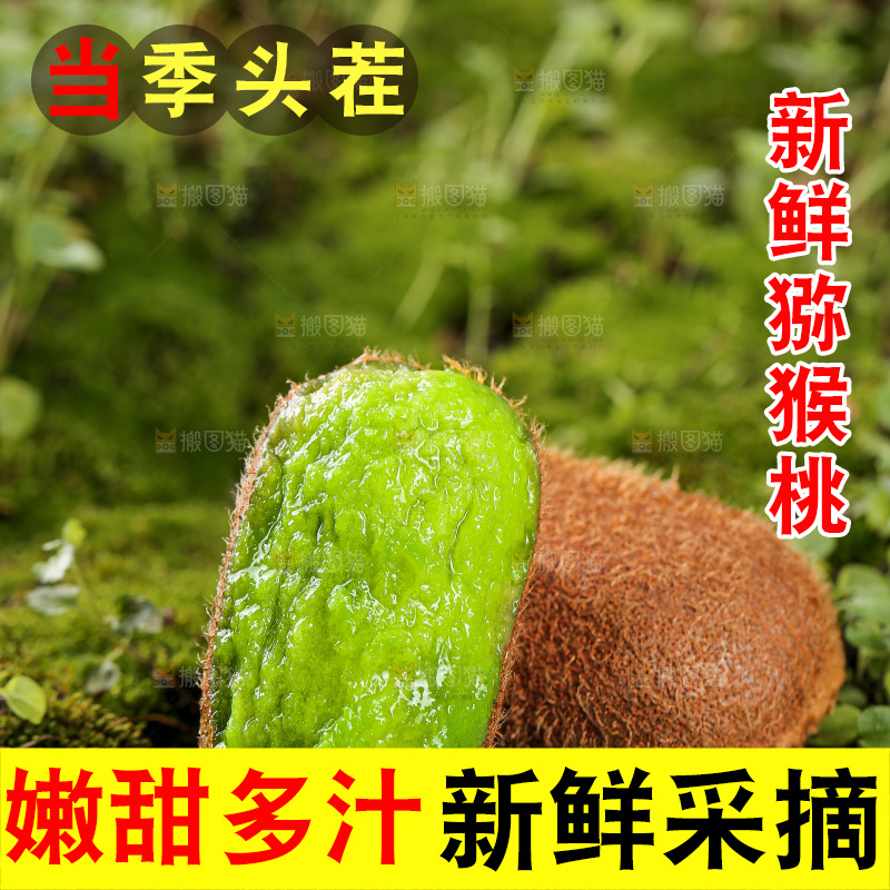 深底上的猕猴桃
