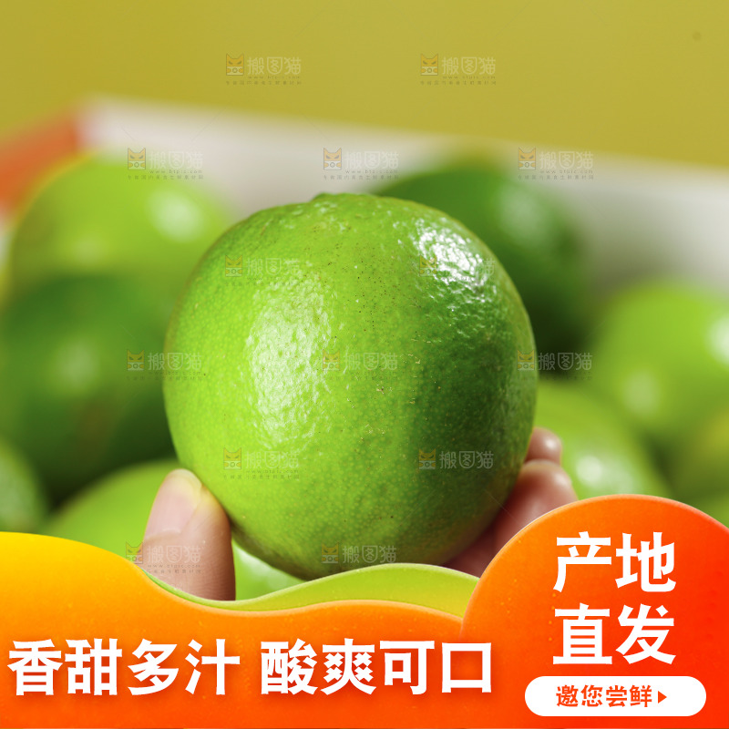 浅底上的小青桔
