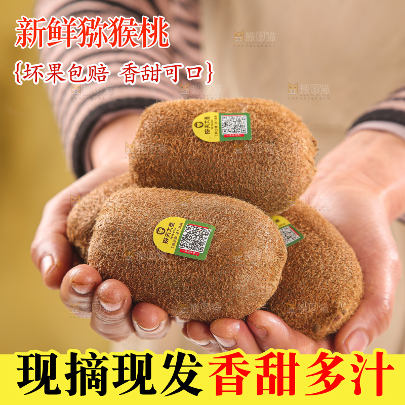 浅底上的猕猴桃